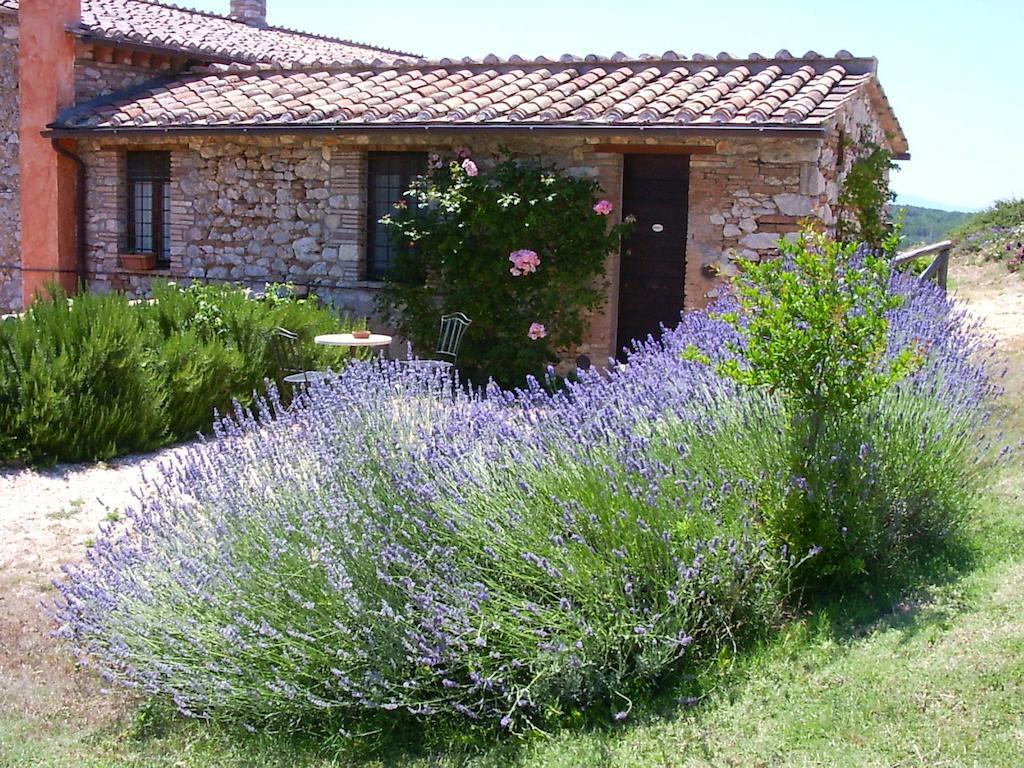 نارني Podere Costa Romana المظهر الخارجي الصورة