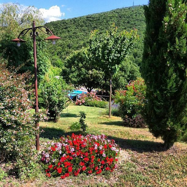نارني Podere Costa Romana المظهر الخارجي الصورة