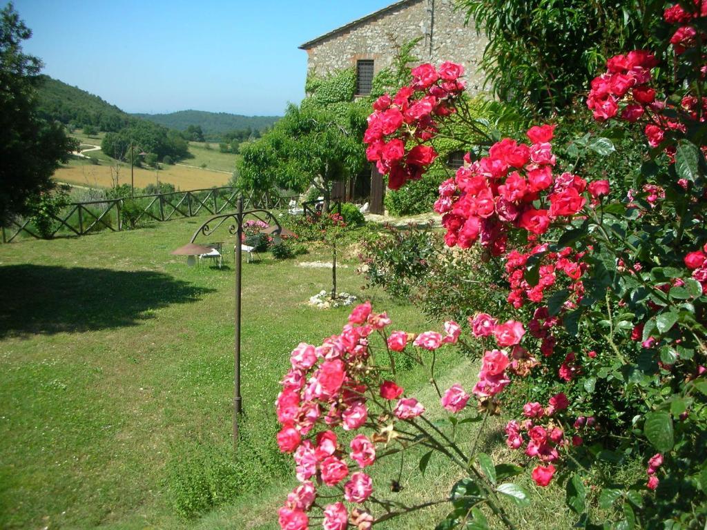 نارني Podere Costa Romana المظهر الخارجي الصورة