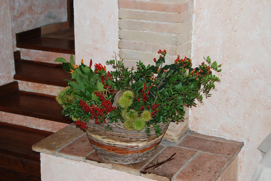 نارني Podere Costa Romana المظهر الخارجي الصورة